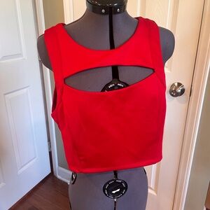 Charlotte Russe crop top with back zipper